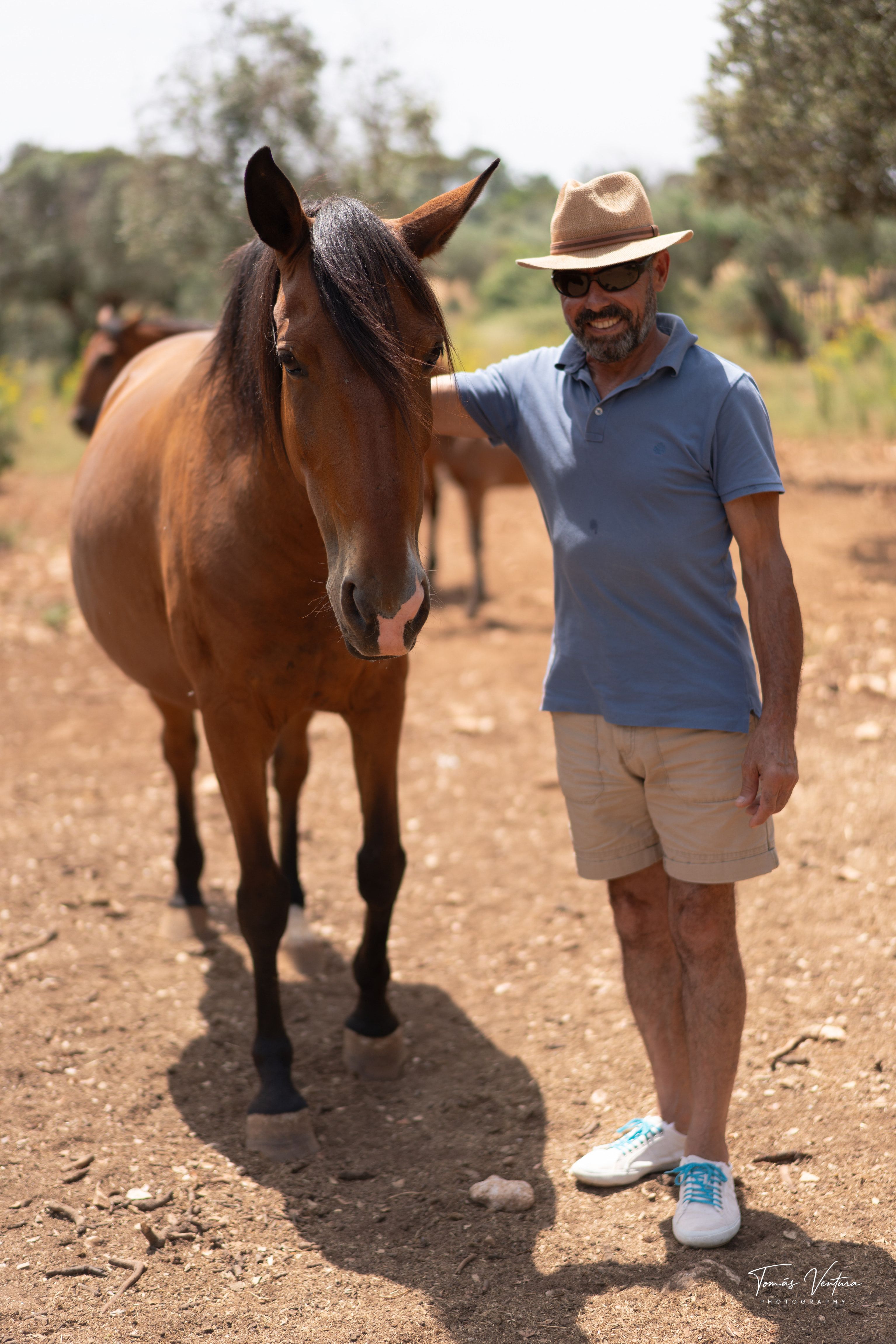 A man in a hat walks beside a mare on a dirt path among olive trees.