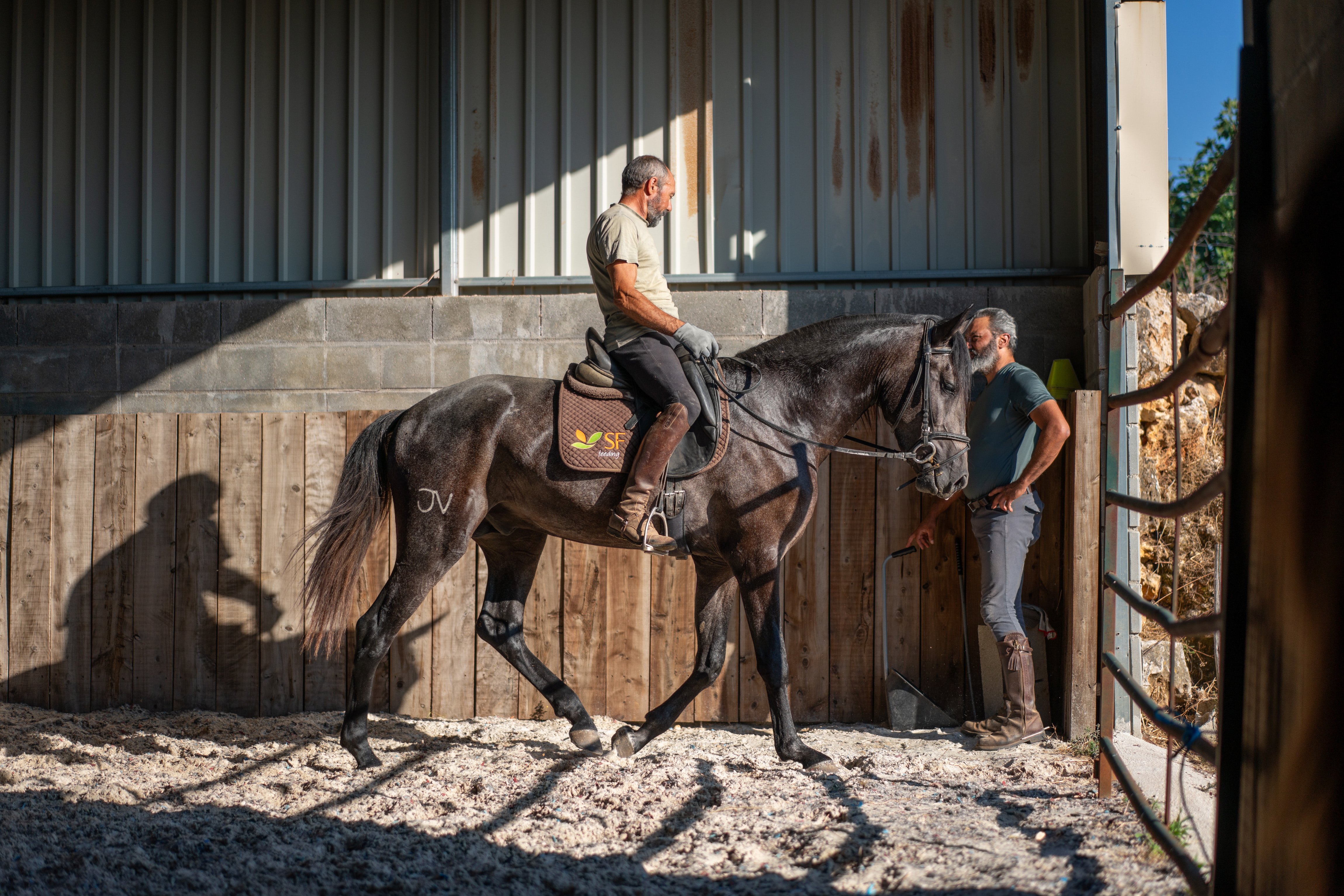 Cavalo escuro avança montado no picadeiro enquanto um tratador observa junto à entrada.