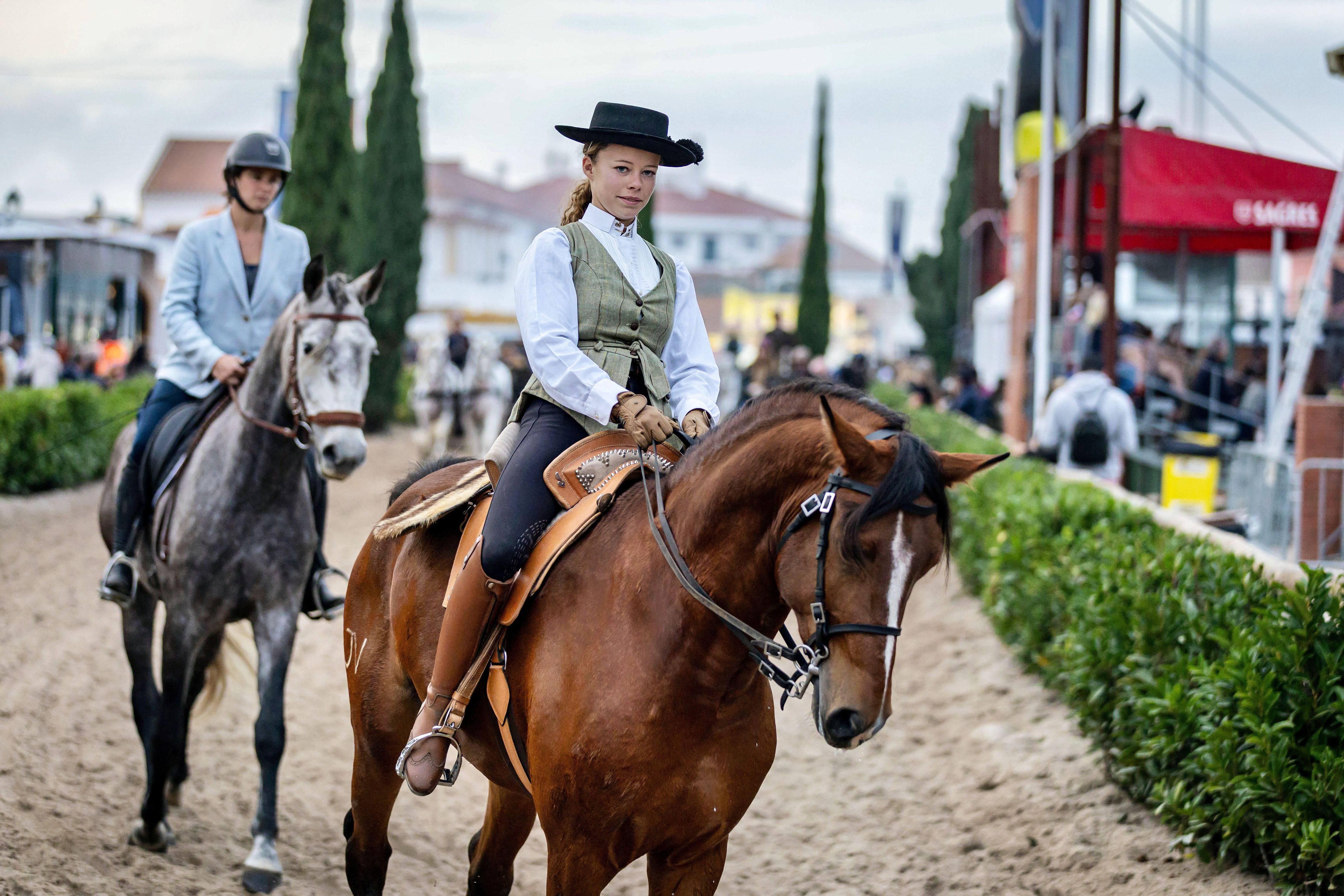 Saturno presented under saddle in an equestrian arena.