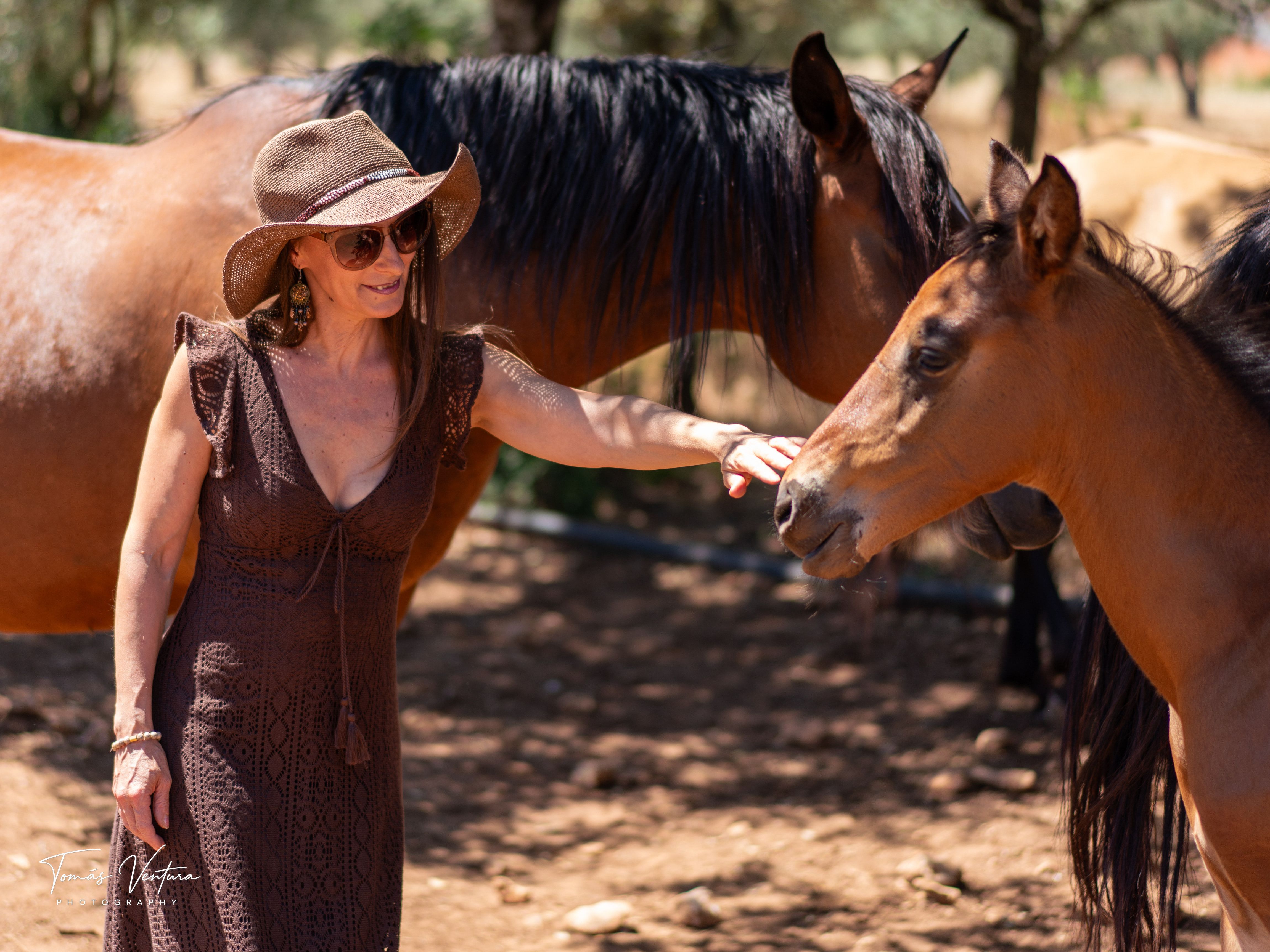A woman in a hat reaches toward Xizel among several mares.